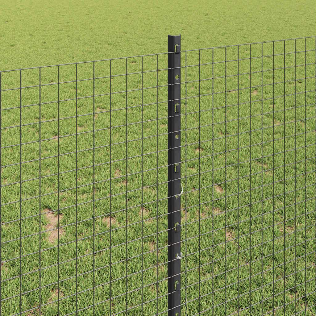 Welded Wire Fence with Post 50 x 1 m (W x H) PVC-Coated Steel