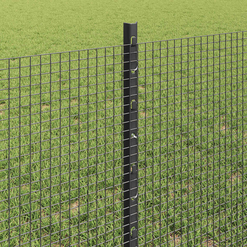 Welded Wire Fence with Post 100 x 0.6 m (W x H)