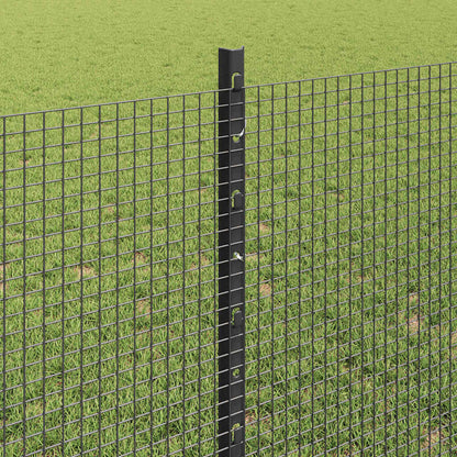 Welded Wire Fence with Post 100 x 0.8 m (W x H)