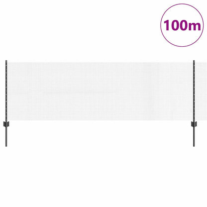 Welded Wire Fence with Post 100 x 0.8 m (W x H)