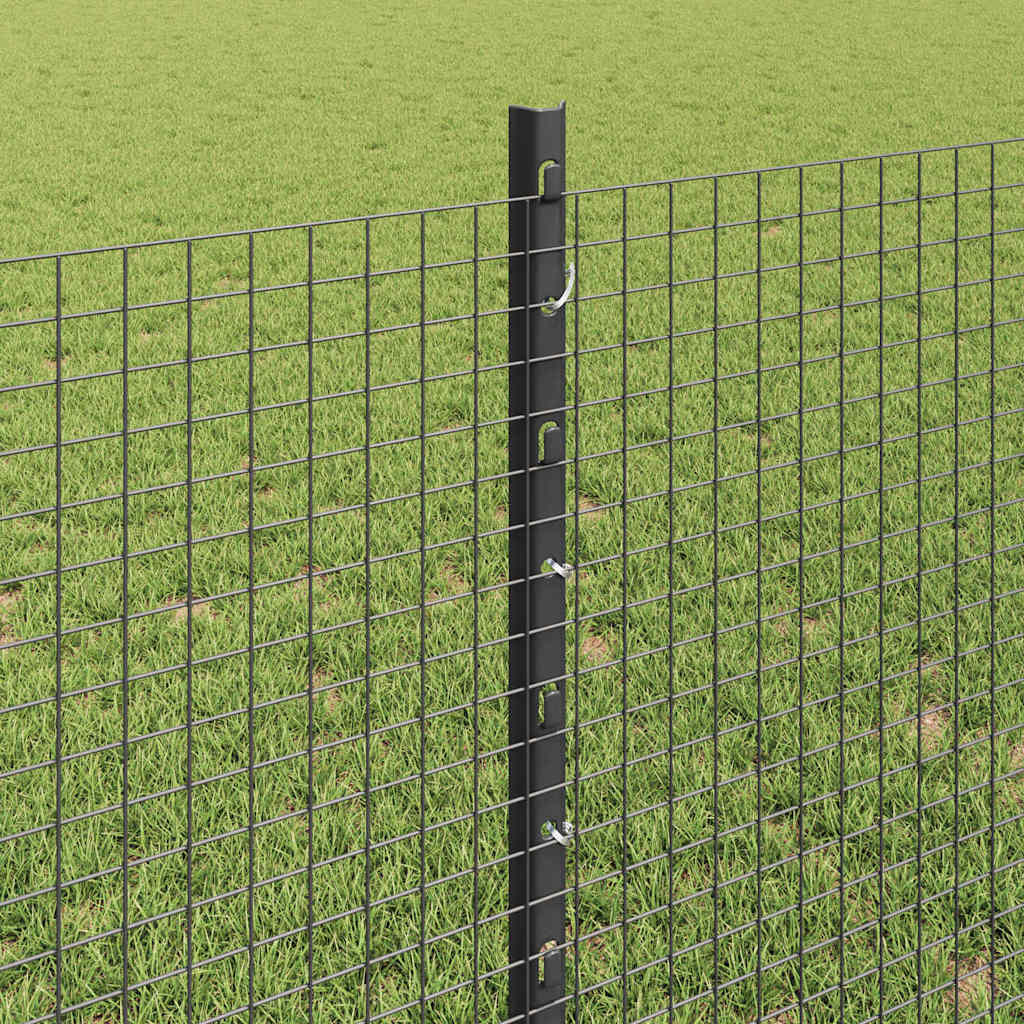 Welded Wire Fence with Post 100 x 0.8 m (W x H)