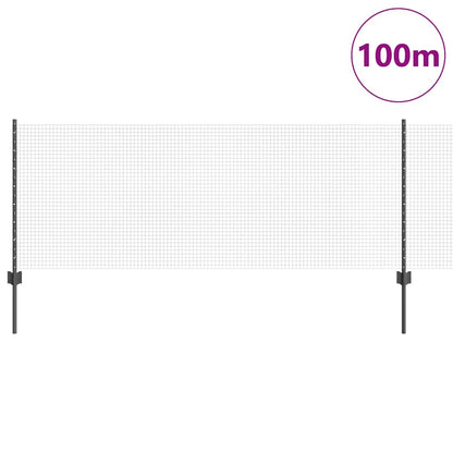 Welded Wire Fence with Post 100 x 0.8 m (W x H)