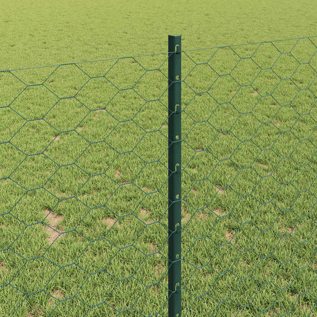 Fence with Post Green 1 x 25 m Steel