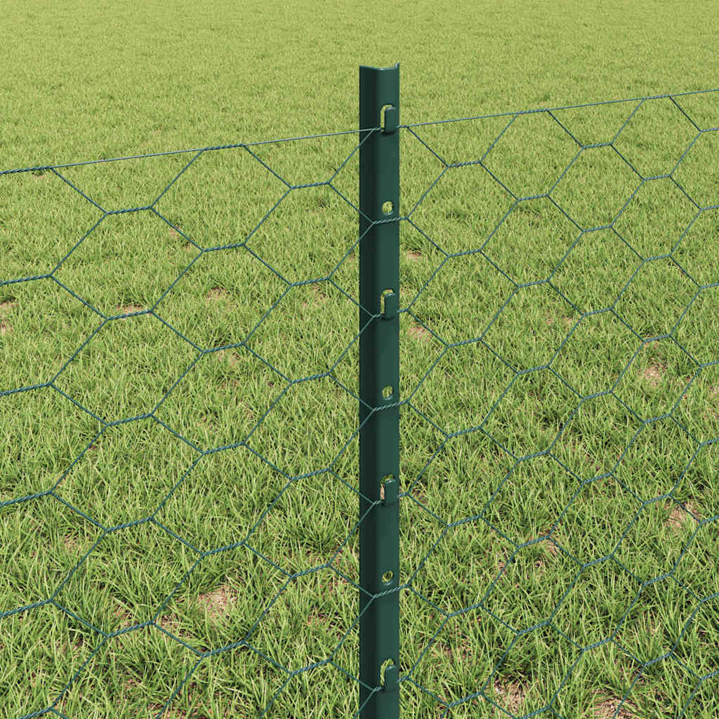 Welded Wire Fence 100 x 0.6 m (W x H) PVC-Coated Steel Green