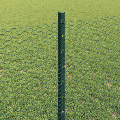Welded Wire Fence 100 x 0.8 m (W x H) PVC-Coated Steel Green