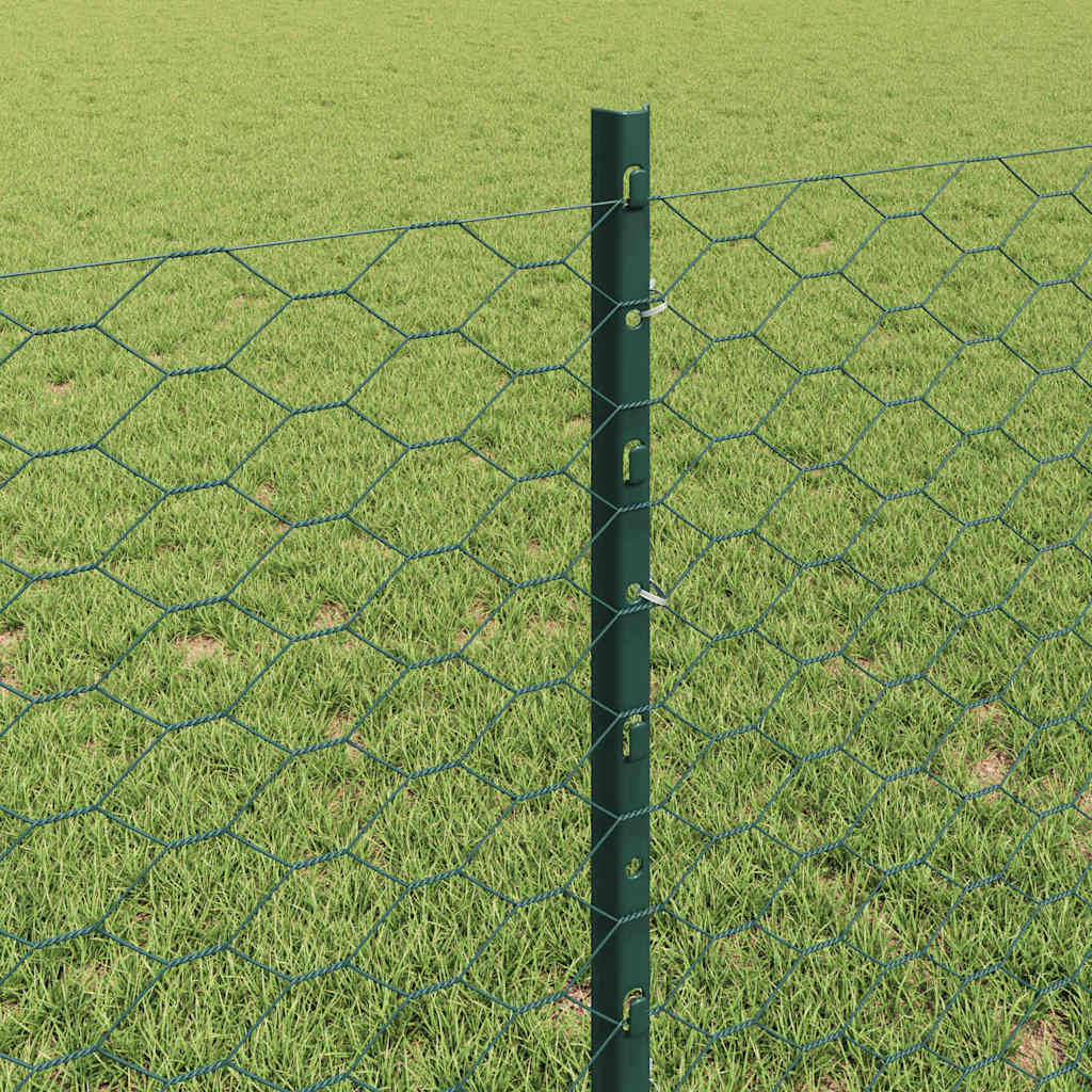 Welded Wire Fence 100 x 0.8 m (W x H) PVC-Coated Steel Green