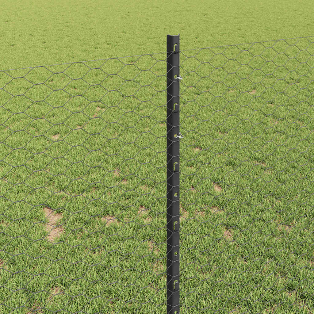 Fence with Post Grey 1 x 25 m Steel