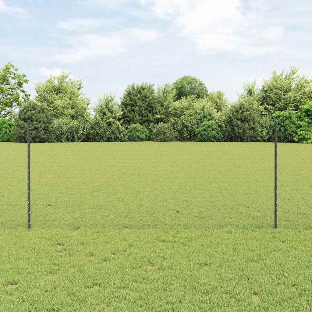Fence with Post Grey 1 x 25 m Steel