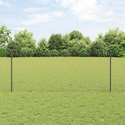 Fence with Post Grey 1 x 25 m Steel
