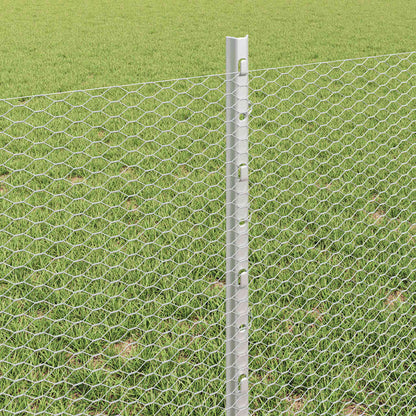 Fence with Post Silver