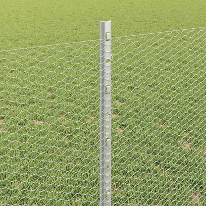 Fence with Post Silver