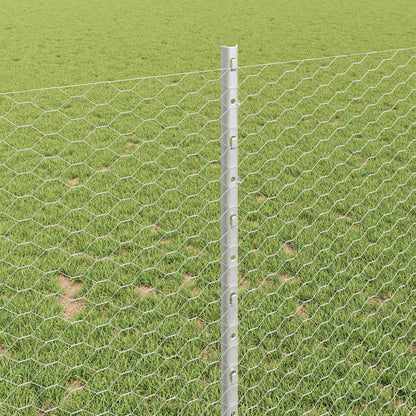 Fence with Post Silver