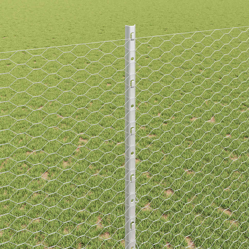 Fence with Post Silver