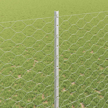 Fence with Post Silver