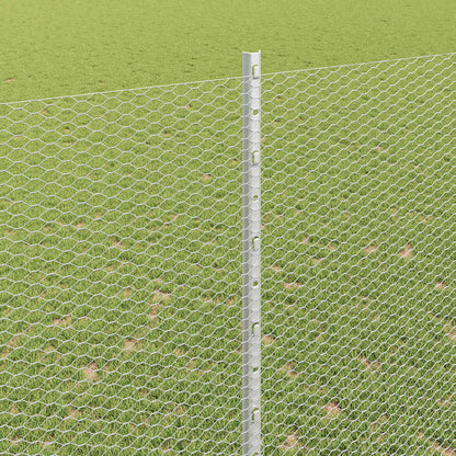 Fence with Post Silver