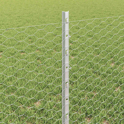 Fence with Post Silver