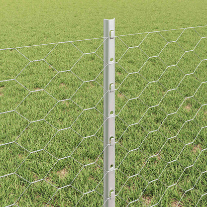 Fence with Post Silver