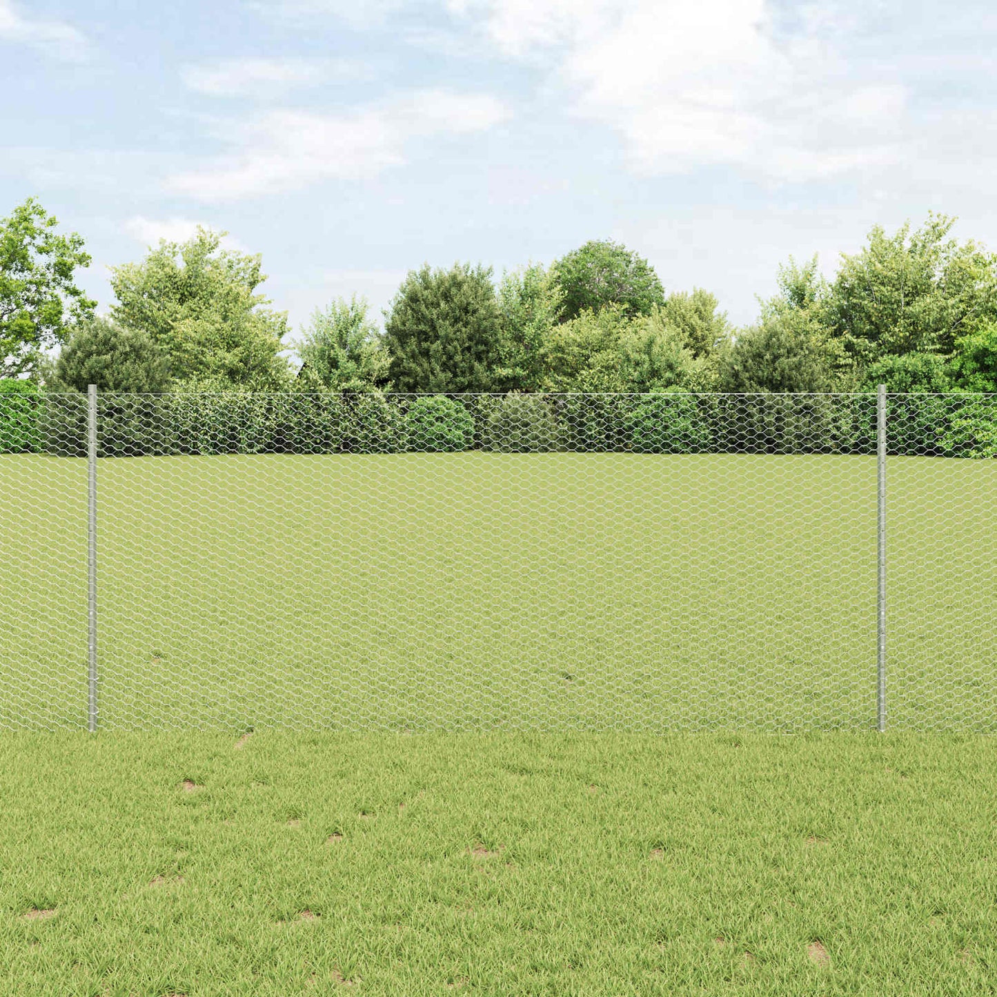 Fence with Post Silver