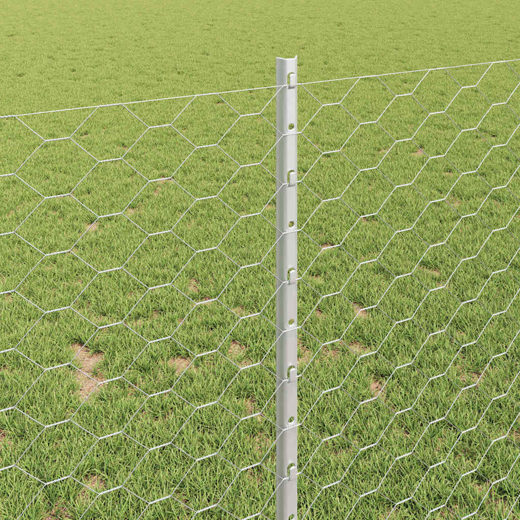 Fence with Post Silver 1 x 25 m Steel