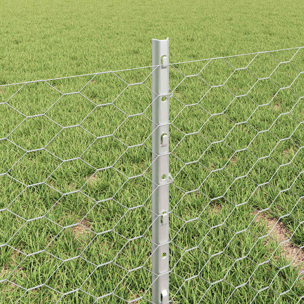 Fence with Post Silver