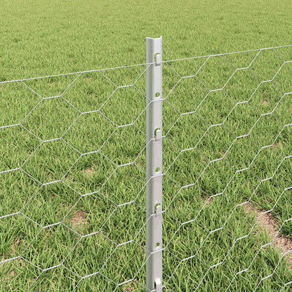 Fence with Post Silver