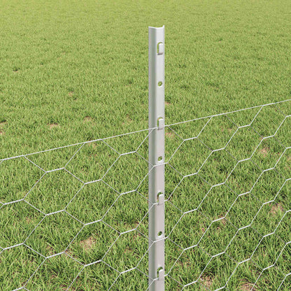 Fence with Post Silver
