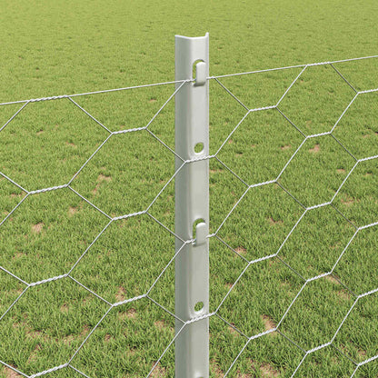 Fence with Post Silver