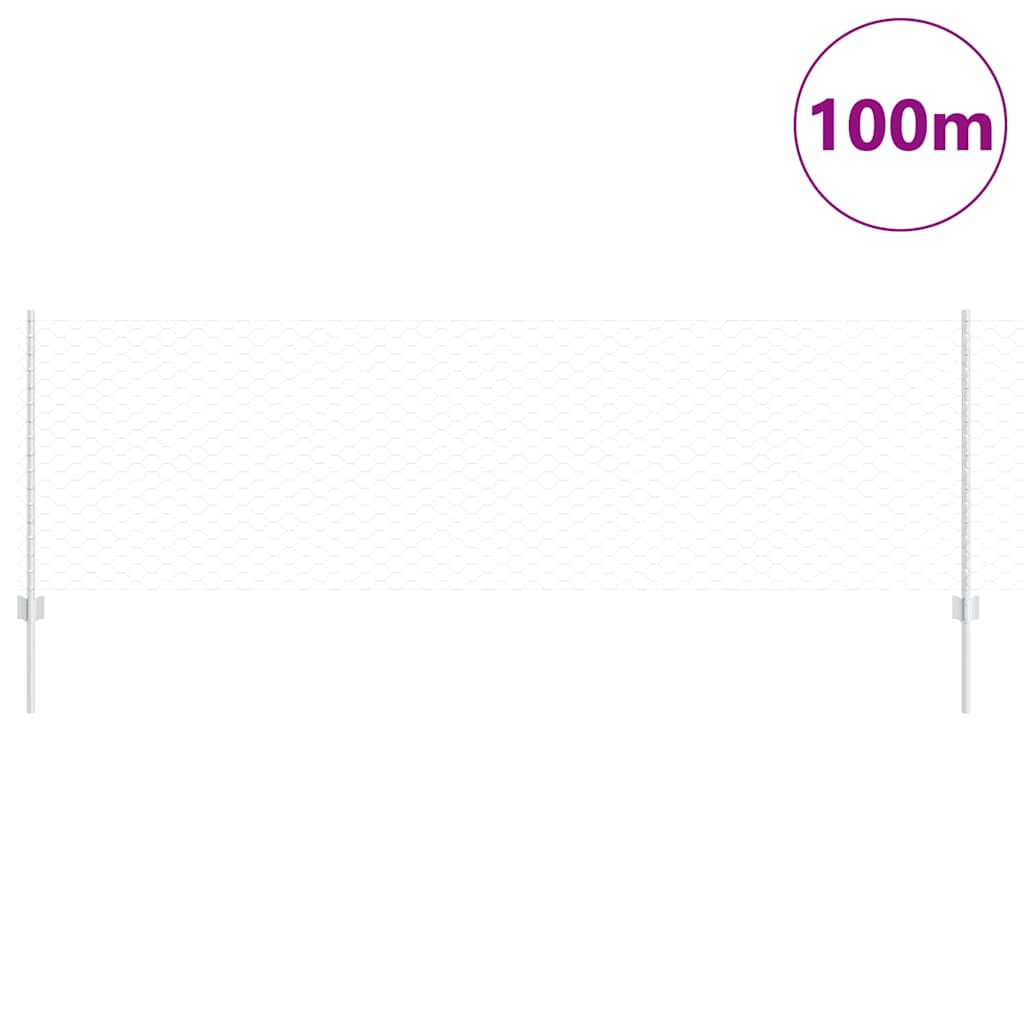 Fence with Post Silver 0.8 x 100 m Steel