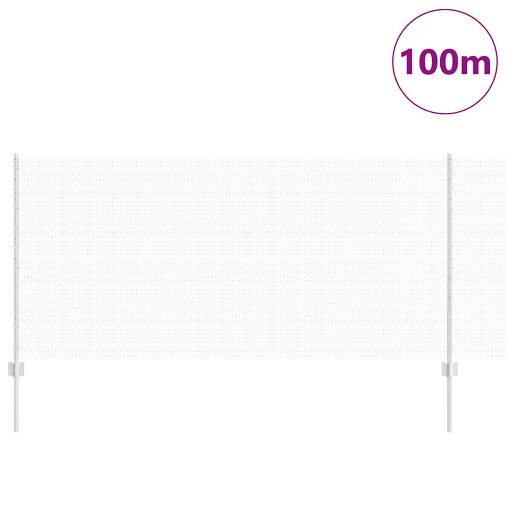 Welded Wire Fence 100 x 1 m (W x H) Hot-Dip Galvanised Steel