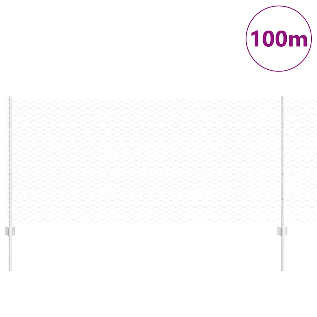 Welded Wire Fence 100 x 1 m (W x H) Hot-Dip Galvanised Steel