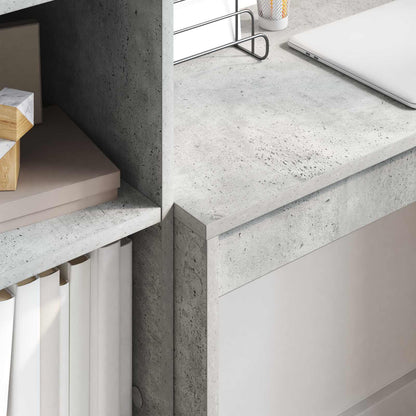 Desk with Drawer with Shelf with Storage 2 pcs Concrete Grey