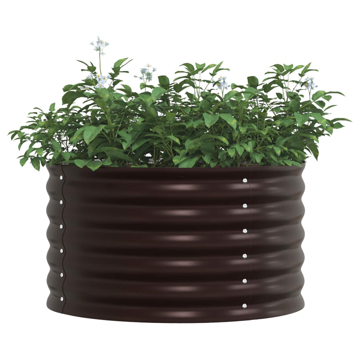Raised Bed Brown 80 x 80 x 44 cm Steel