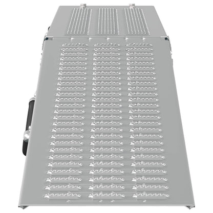 Foldable Ramp 200kg per ramp 2 pcs Silver 166 x 23 x 4.5 cm