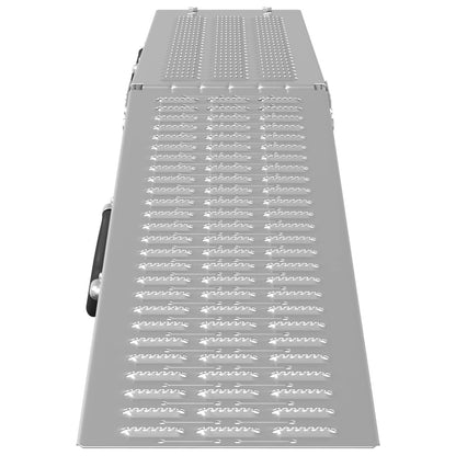 Foldable Ramp 200kg per ramp 2 pcs Silver 186 x 23 x 4.5 cm
