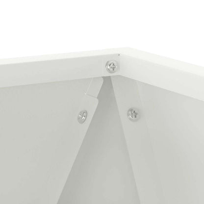 Planter 2 pcs White 30 x 30 x 30 cm Steel