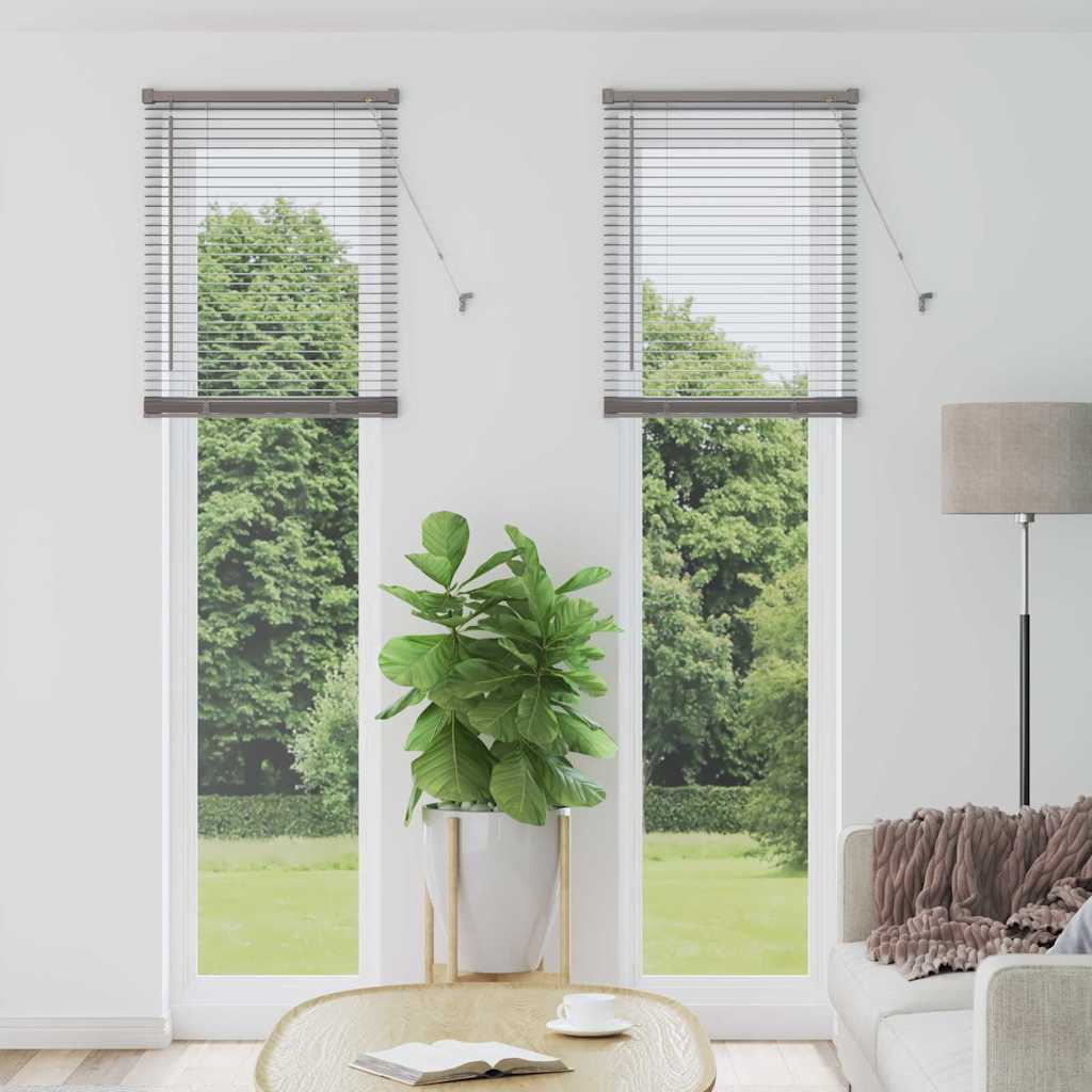 Venetian Blinds Height Adjustable Silver 220 x 65 cm Aluminium