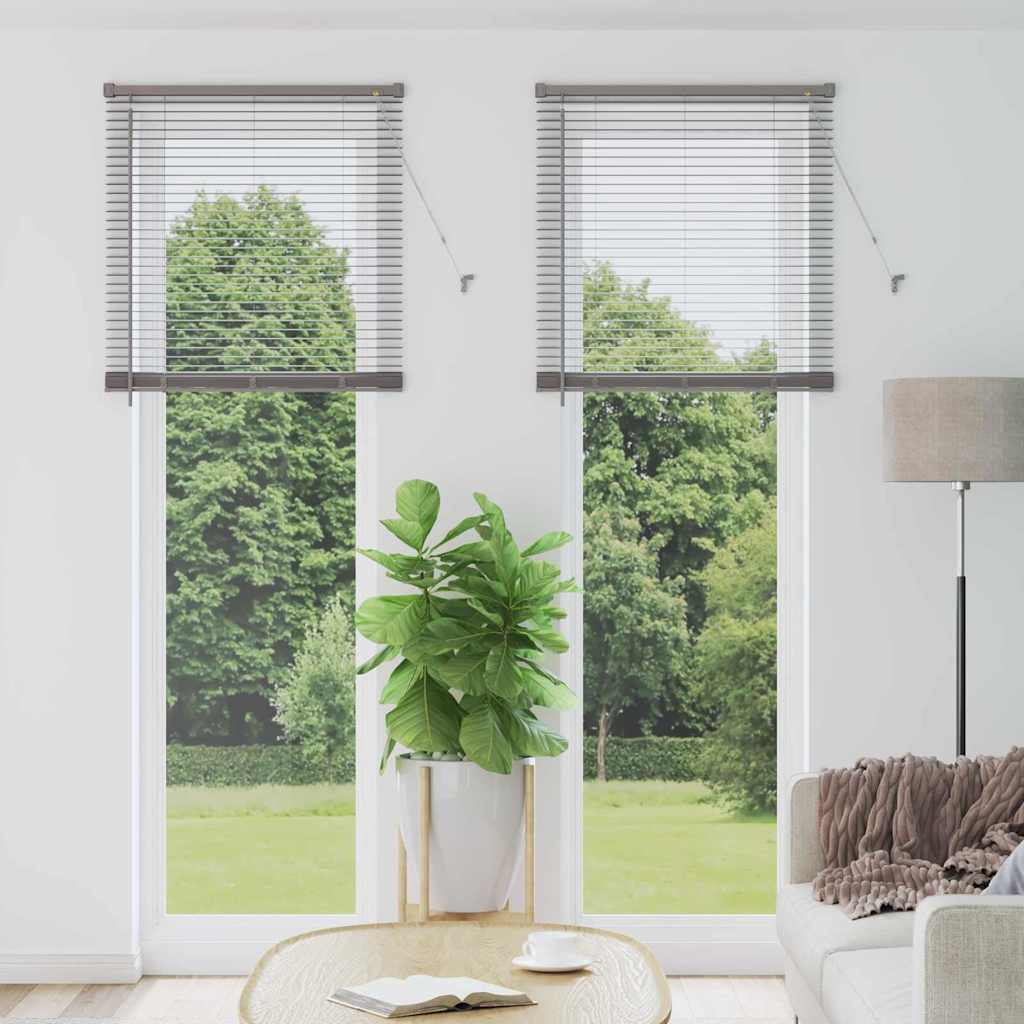 Venetian Blinds Silver 220 x 70 cm Aluminium