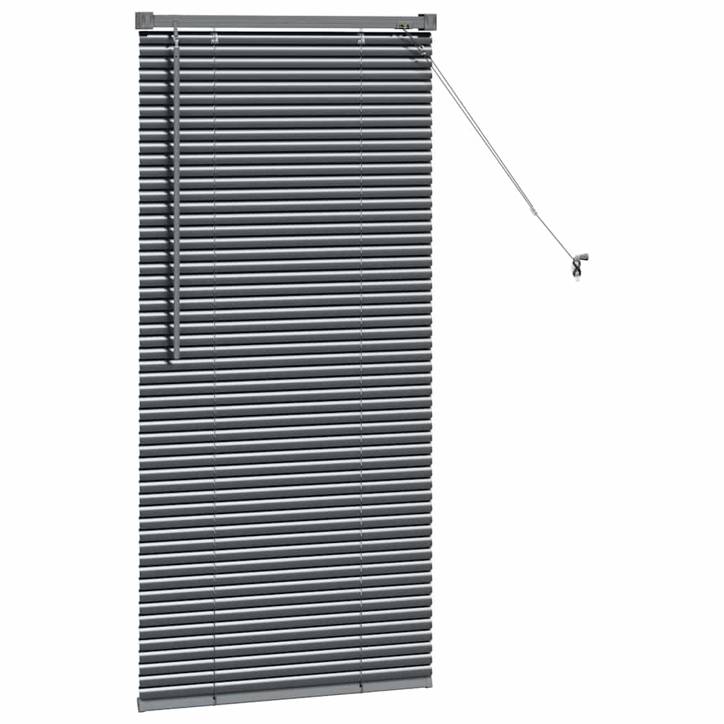 Venetian Blinds Manual Dark Grey 130 x 60 cm Aluminium