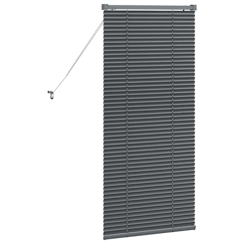 Venetian Blinds Manual Dark Grey 130 x 60 cm Aluminium