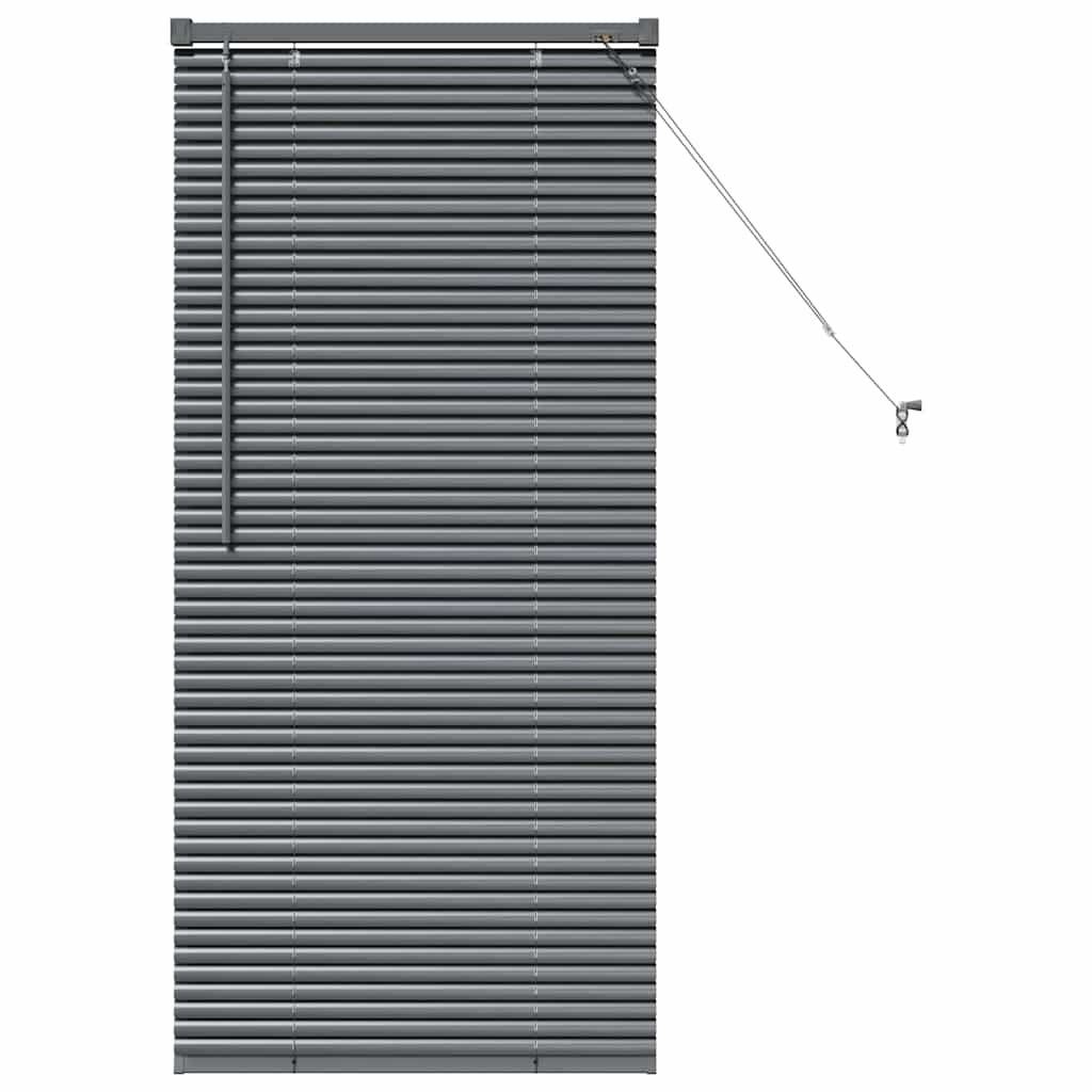 Venetian Blinds Manual Dark Grey 130 x 60 cm Aluminium