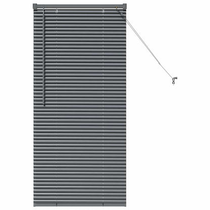 Venetian Blinds Manual Dark Grey 130 x 60 cm Aluminium