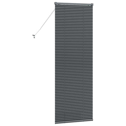 Venetian Blinds Manual Dark Grey 175 x 60 cm Aluminium