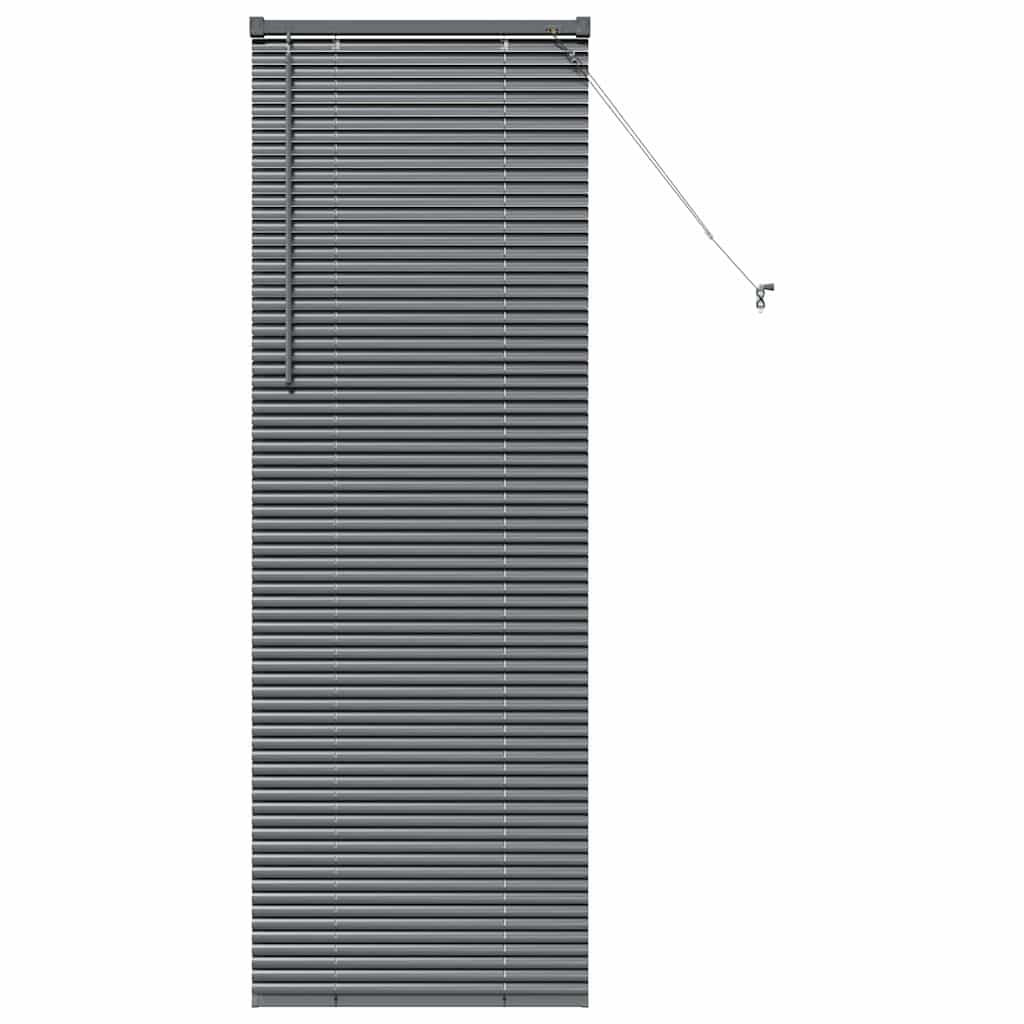 Venetian Blinds Manual Dark Grey 175 x 60 cm Aluminium