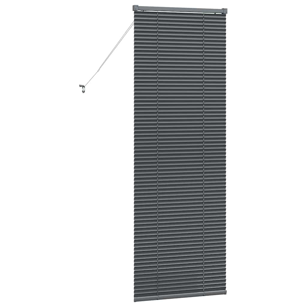 Venetian Blinds Manual Dark Grey 175 x 65 cm Aluminium