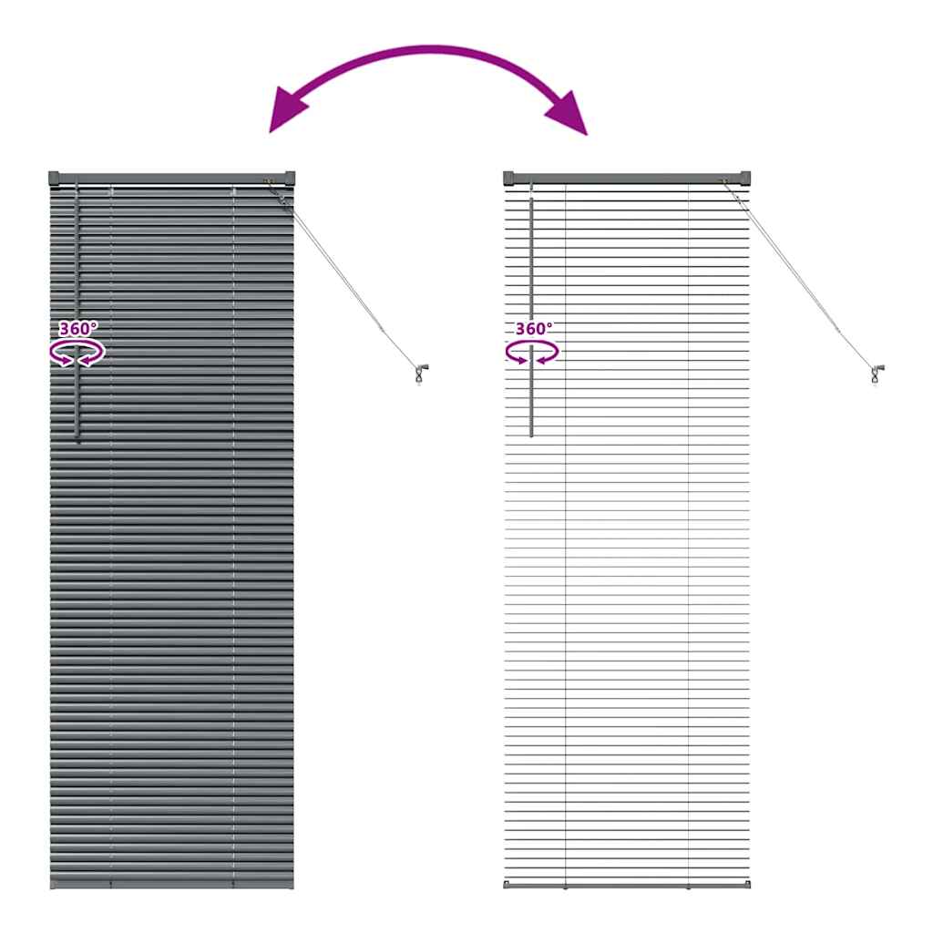 Venetian Blinds Manual Dark Grey 175 x 65 cm Aluminium