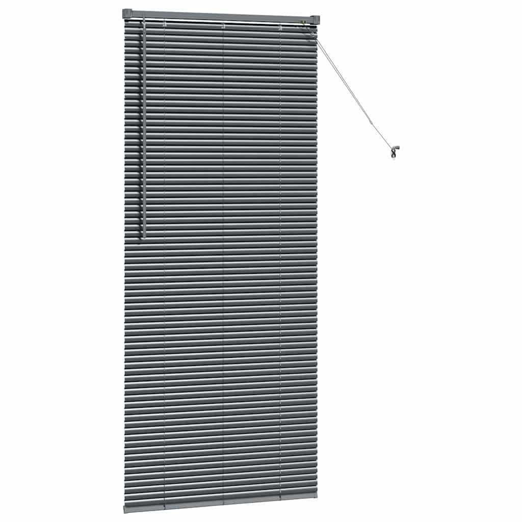 Venetian Blinds Manual Dark Grey 175 x 75 cm Aluminium