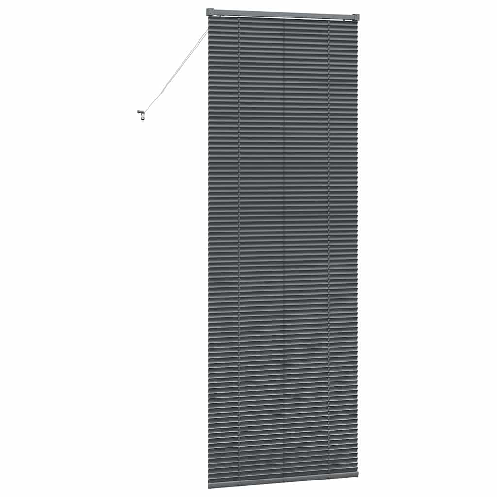 Venetian Blinds Manual Dark Grey 220 x 80 cm Aluminium