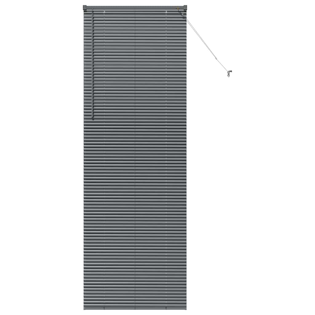 Venetian Blinds Manual Dark Grey 220 x 80 cm Aluminium