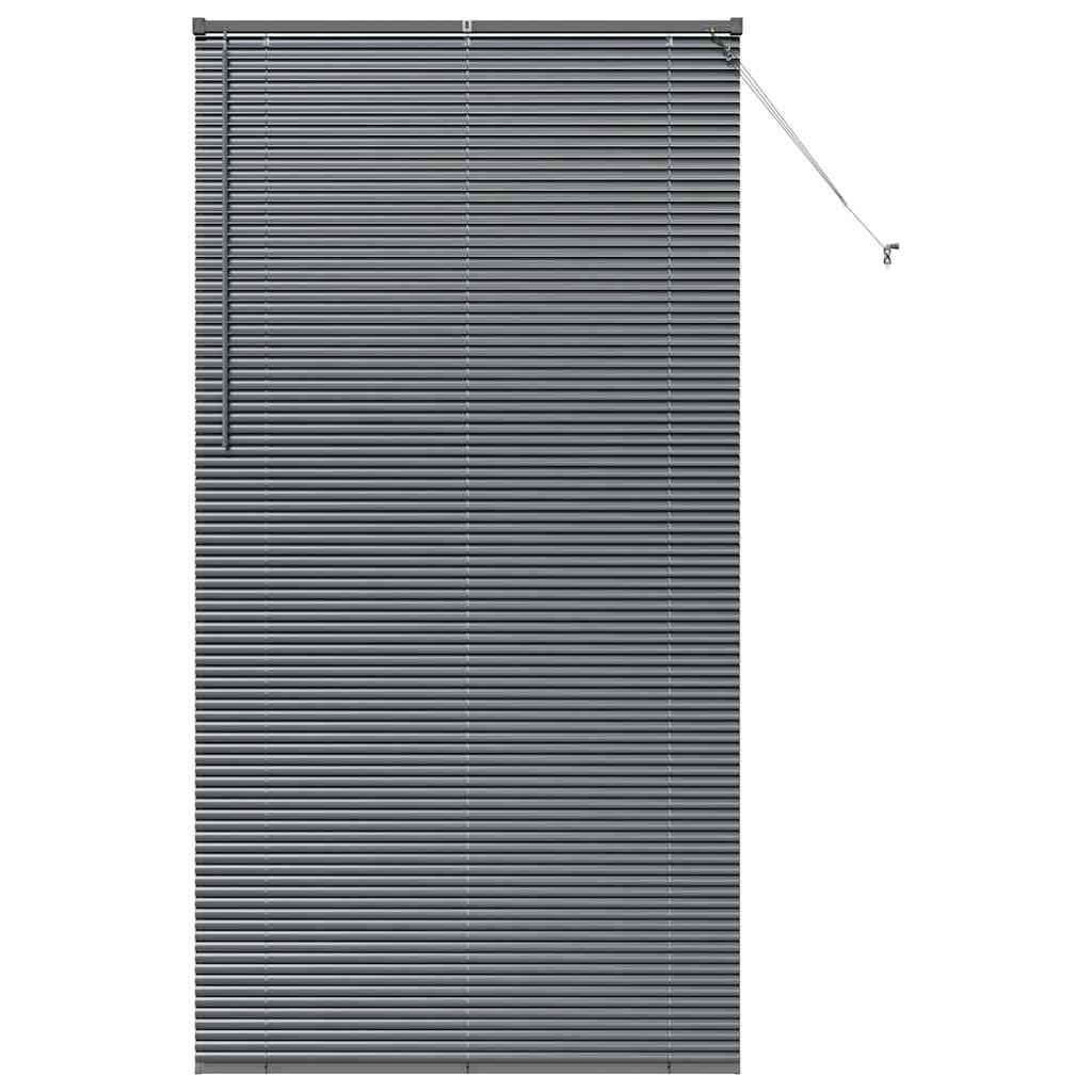 Venetian Blinds Manual Dark Grey 220 x 120 cm Aluminium