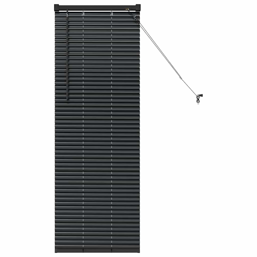 Venetian Blinds Height Adjustable Black 130 x 55 cm Aluminium